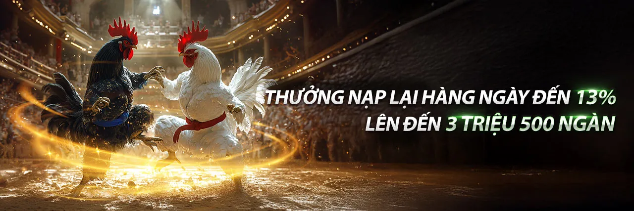 Gà Đá Kiên Giang